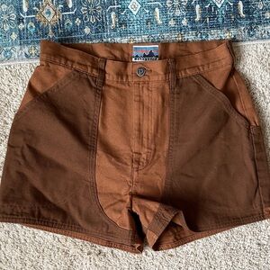 RARE Patagonia Stand Up Shorts Vote the Aholes Out Tag